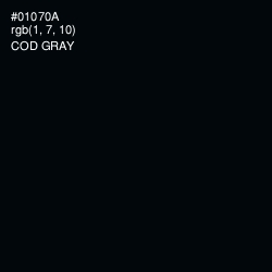 #01070A - Cod Gray Color Image